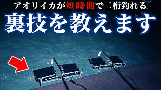 【衝撃】アオリイカが短時間で二桁釣れる裏技を教えます。エギングを遥かに上回るチート技が炸裂ｗ [upl. by Terpstra44]