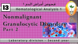 Hematology 13 Nonmalignant Granulocytic Disorders part 2 الاضطرابات غير الخبيثة لخلايا الدم [upl. by Nimajaneb]