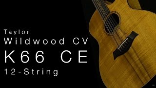 Taylor Wildwood CV K66 CE 12String • Wildwood Guitars Overview [upl. by Ebert]