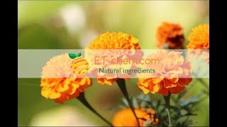 Marigold flower extracts Lutein powder Zeaxanthin ETchemorganic2018 [upl. by Sergent983]