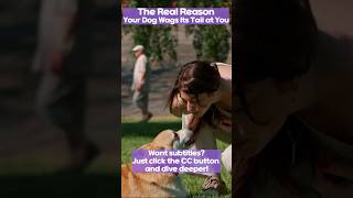 The Real Reason Your Dog Wags Its Tail at You [upl. by Anoel979]