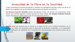 Diversidad de la flora en la localidad [upl. by Lashoh]