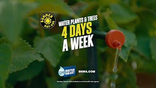 Water Plants amp Trees Only 4 Days a Week in Summer [upl. by Aronid]