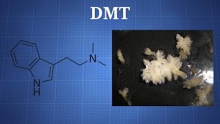 Dimethyltryptamine DMT What You Need To Know [upl. by Onurb681]