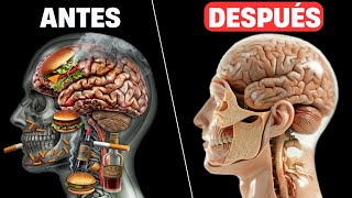 7 Lecciones ESTOICAS para desarrollar la Autodisciplina en días difíciles [upl. by Annwahsal]