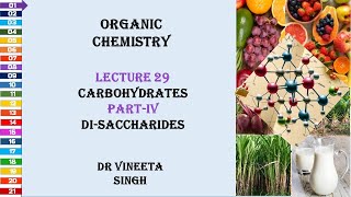 Exploring the World of Disaccharides Structure Function and Importance [upl. by Mommy314]