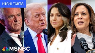 Countdown to the 2024 election Day 64  MSNBC Highlights [upl. by Leumel757]