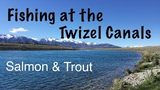 Fishing At The Twizel Canals  Salmon amp Trout [upl. by Carmelia985]