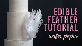 How to make Wafer Paper Feathers  Florea Cakes [upl. by Adnuhsed]