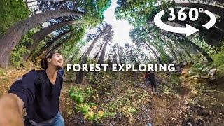 FOREST EXPLORING 360 [upl. by Novel]