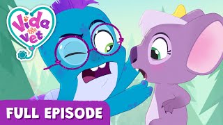 Pippen’s Stomach Bug Problems VidaTheVet Full Episode  Animal Cartoons for Kids MentalHealth [upl. by Asta508]