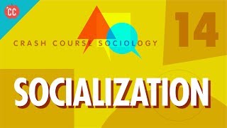 Socialization Crash Course Sociology 14 [upl. by Norbel]