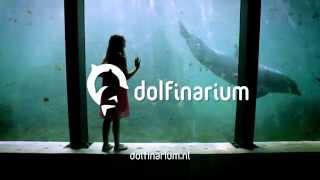 Dolfinarium [upl. by Jael]