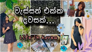 වැස්ස දවසට මන් 🌸  Life in Korea 🇰🇷  Sinhala vlog 🌸 Koran Diary With Ishu [upl. by Keily]