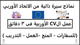 سيرة ذاتية احترافية على الطريقة الأوربية فى 5 دقايق  europass cv  للسفارات والمنح والعمل [upl. by Tova]