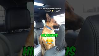 This Dogs Reaction to a Crying Baby is Priceless 🐶👶😂 shorts dog funny [upl. by Romanas278]