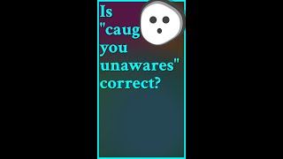 This is a correct form Unawares is an adverb meaning quotwhile not aware of somethingquot or  shorts [upl. by Esirehc]