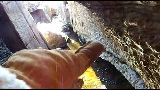 A Stream that sinks down into Caves  Marmora Ontario [upl. by Hazmah]