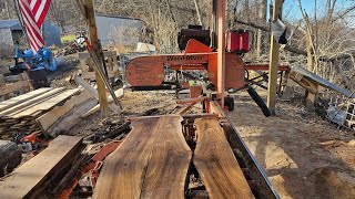 Sawing live edge lumber I was amazed of the beauty within this Junk log [upl. by Kihtrak495]