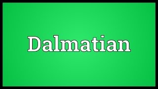 Dalmatian Meaning [upl. by Abrahan]