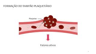 Aprendendo Fisiologia Hemostasia por Bruna Borstmann [upl. by Carmelia83]