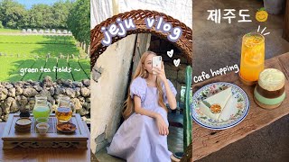 jeju island vlog 🍊 cafe hopping beach bar korean bbq aesthetic desserts international giveaway [upl. by Baggs]