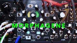 Make Noise MORPHAGENE  Tutorial uff Deutsch Teil 1 [upl. by Battat]