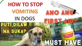 SYMPTOMS AND HOME REMEDY FOR VOMITING AND DOGS WITH PARVO [upl. by Airotel]