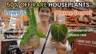 Home Depot Has 50 Off Houseplants  Choco Red amp Billietiae Philodendron In Stock Plant Shopping [upl. by Jourdan]