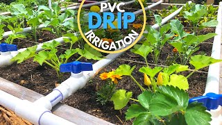 PVC Drip Irrigation System  EASY DIY [upl. by Amuh]