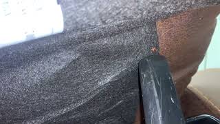 Exterminating the Bed Bugs in the Recliner [upl. by Metsky]