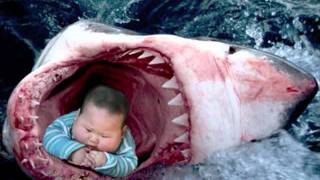 MUST WATCH  The Megalodon Shark Eats a Child [upl. by Eltotsira857]