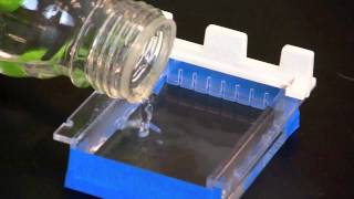 Casting an Agarose Gel [upl. by Sliwa]