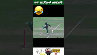 නයි කොටාගේ හපන්කම් එක දිගටම 😂😂 cricket nayikota sithumyuraj [upl. by Demahum]