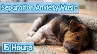 15 HOURS of Deep Separation Anxiety Music for Dog Relaxation Helped 4 Million Dogs Worldwide NEW [upl. by Dreher]