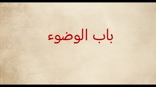 برنامج فقه المولود  الحلقة السابعة  باب الوضوء  د أحمد سعد الدين [upl. by Nylad]