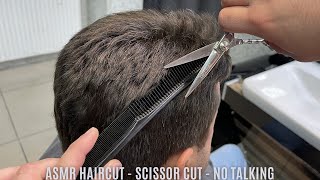 ASMR Haircut  Scissor Cut  No Talking [upl. by Atilemrac324]