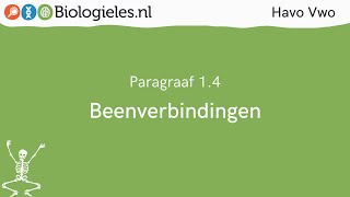 Havo Vwo 1  Stevigheid en beweging  4 Beenverbindingen  Biologielesnl [upl. by Gnaht588]