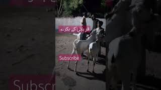 shorkot cantt railway station subscribe YouTube channel viral [upl. by Nydia]