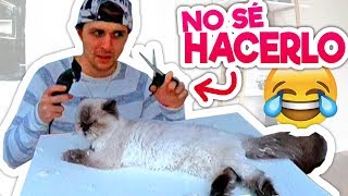 🌸 CORTO EL PELO A MI GATO SIN SABER 🌸 y luego me arrepiento 😢 [upl. by Ahseek215]