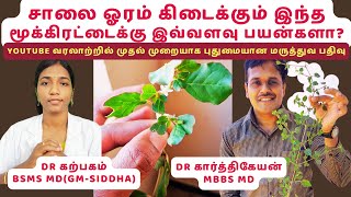 மூக்கிரட்டை கீரை கடையல் 15 பலன்கள்  healthy food mookirattai spinach 15 benefits [upl. by Sybille]