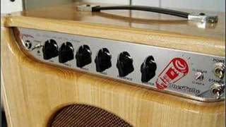 Clean from Biyang Tube Amp Model 2203 [upl. by Wedurn785]