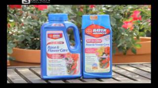 Bayer Advanced Rose Gardening [upl. by Ameen]