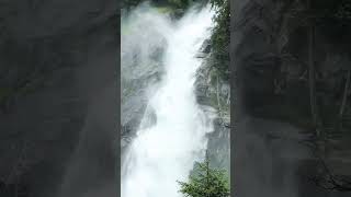 Krimml waterfalls austria nature trekking highestwaterfall music marburg 19april [upl. by Cia]