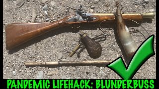 Pandemic Lifehack Blunderbuss [upl. by Nidroj]