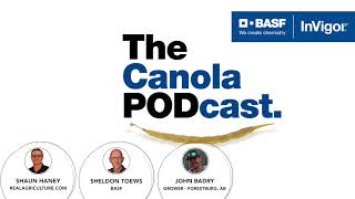 The Canola PODcast Episode 7 – The InVigor Demonstration Strip Trial Program  BASF [upl. by Sulamith]