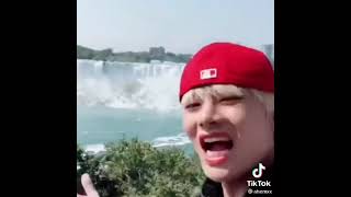 “Niagara popo” 🐯🥺😂 [upl. by Bibi121]