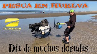 💛🖤SURFCASTING EN HUELVA MUCHAS DORADAS Y IMÁGENES IMPRESIONANTES 🐟 [upl. by Barron991]