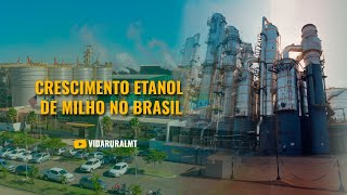 CRESCIMENTO DO ETANOL DE MILHO NO BRASIL [upl. by Tennes]