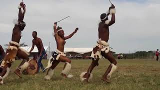 Zulu Dance Championships  Ulundi [upl. by Seve618]